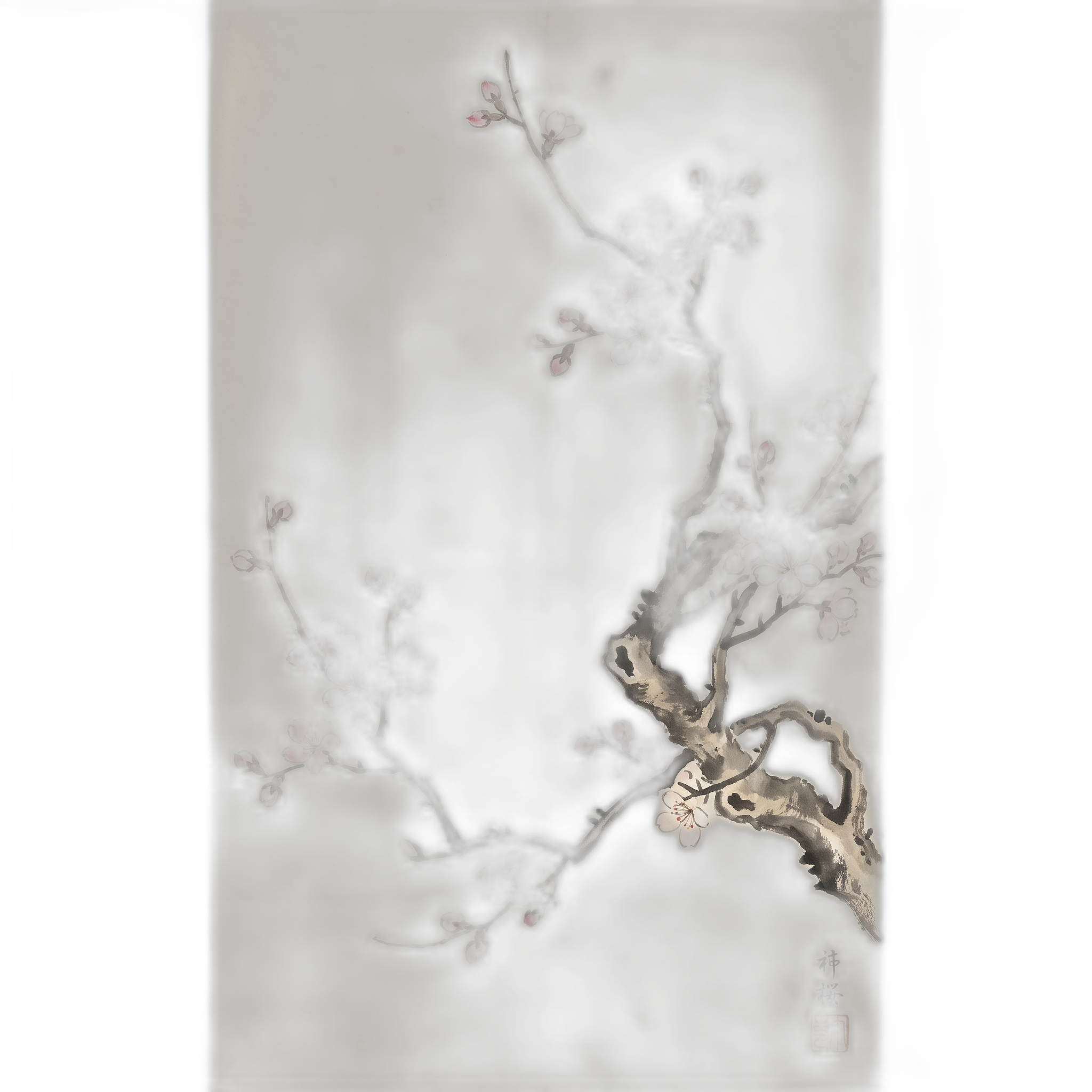 Cherry Blossom
